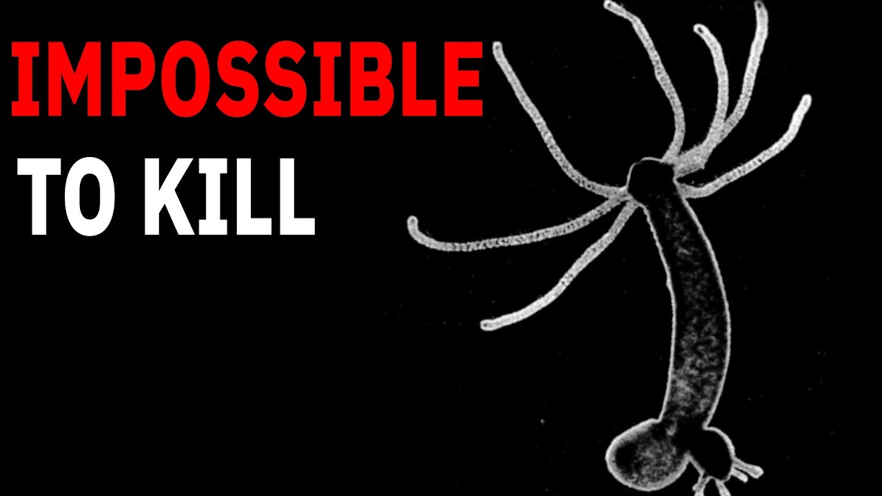 Nothing About The Hydra Is Normal… Here's Why