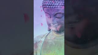 Download Lagu Namo Amitabha 南無阿彌陀佛🌞अमिताभ A Di Đà Phật 아미타불 あみだぶつ อมิตาภ Amitofo MP3