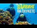 ДАЙВИНГ НА ПХУКЕТЕ - РЫБА ОТКУСИЛА УХО (DIVING PHUKET) ☼