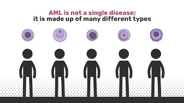 Know AML | Acute Myeloid Leukemia Types