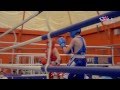 V турнир по боксу среди юношей на приз Николая Валуева