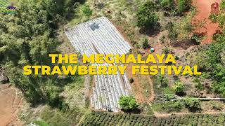 The Meghalaya Strawberry festival 2024