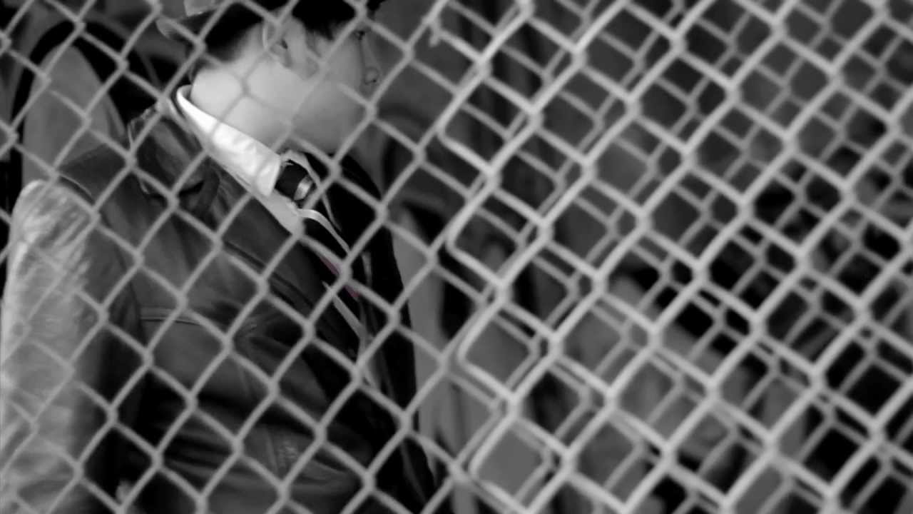 The City - Champ - The Panda Chronicles.