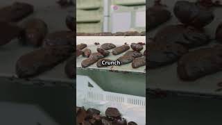 The Sweet History Of Buncha Crunch