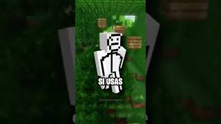 Lo Que Tu Skin De Minecraft Dice De Ti 4