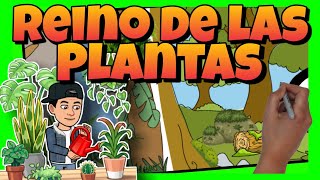🥀 El REINO de las PLANTAS: sus CARACTERÍSTICAS y CLASIFICACIÓN 🥀 El REINO de las PLANTAS: sus CARACTERÍSTICAS y CLASIFICACIÓN