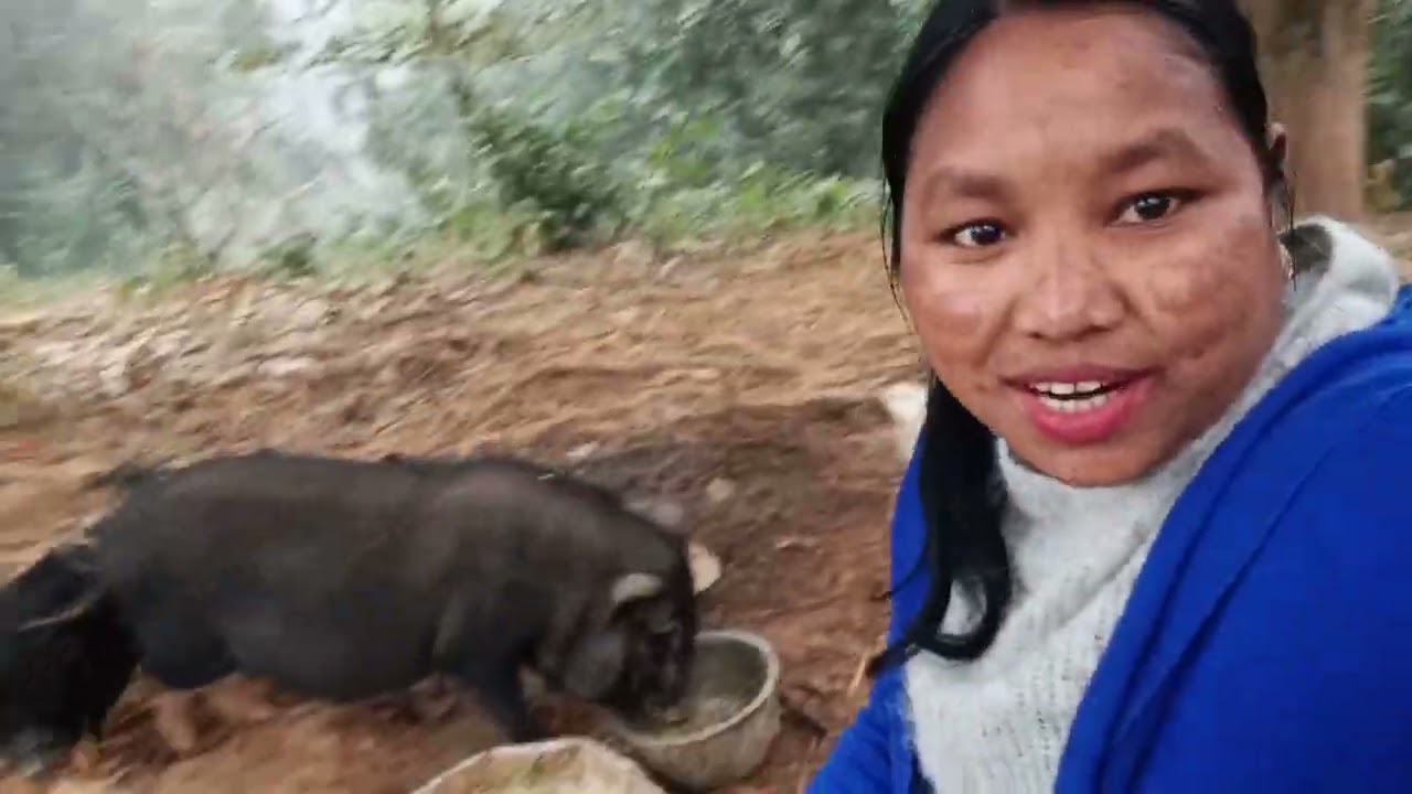 dalni vlog video enan