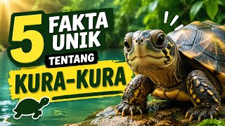 5 UNIQUE FACTS ABOUT TURTLE