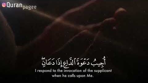 اجمل حالات واتس|| قرآن كريم بصوت القارئ مشاري راشد العفاسي ||ماشاء الله اجمل تلاوة 🌹💚