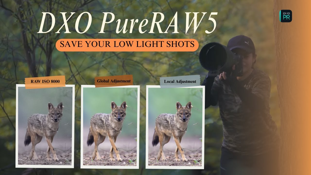 My Secret to Clean, Sharp Photos | DXO PureRAW 5 Hands-On!