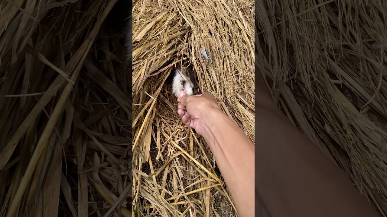 it's also difficult to take it 