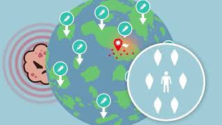 Modül 3 Sürü Bağışıklığı