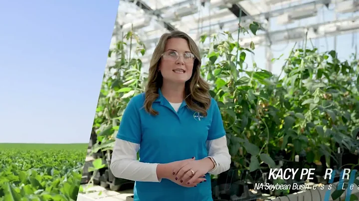 Lab to Cab - Inside the Development of Vyconic™ Soybeans