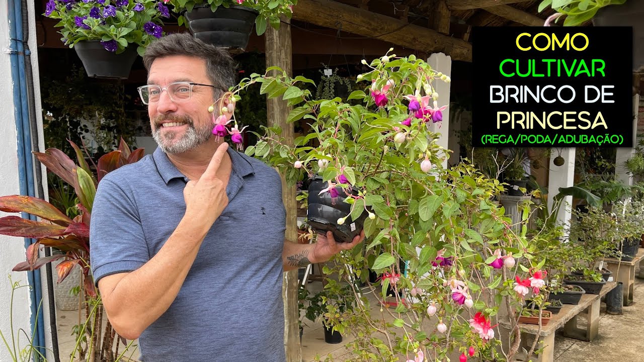 Como Cultivar Brinco de Princesa (Rega/Poda/Adubação e mais)