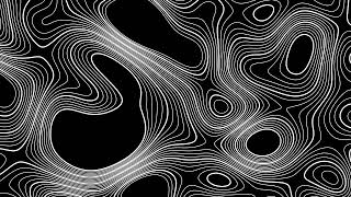 Hypnotic Topographic Lines ⚫ 10 Hour Seamless 4K Background | Intricate Black & White Moving Maze