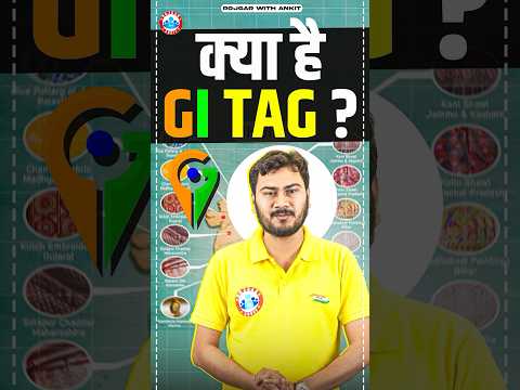 What is GI Tag? | Geographical Indication Tag | Important Facts About GI Tag by Vivesh Sir