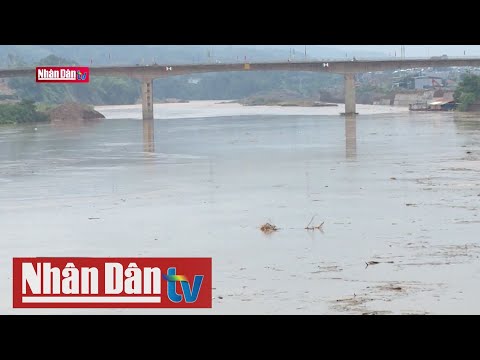 Video Phòng, chống thiên tai khu vực miền núi phía Bắc năm... - youtube