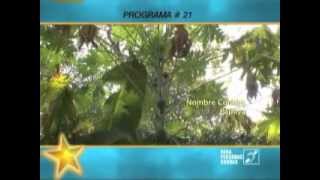 Salud mental - Capitulo 22 de 25