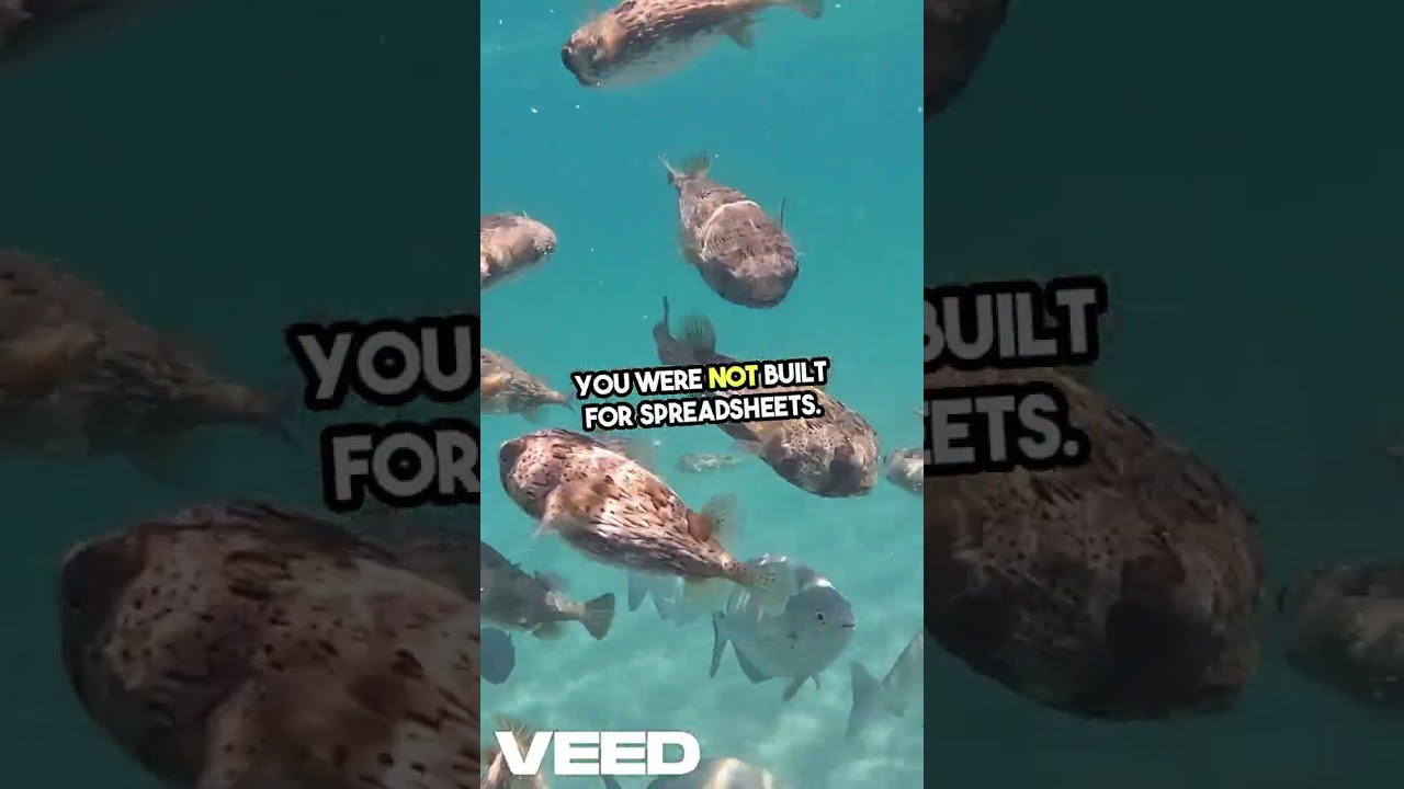 I Quit the Office to Chase the American Dream Sea Life | This Is What I Found 🐢🌊