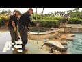 Live Rescue: Gator in the Pool (S3) | A&E