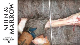 Two tips in one! Beef Shin from a Hind Quarter and quickly saw a Marrow Bone