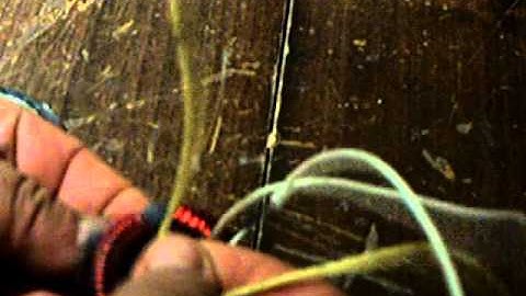 The mystery toroid of the tpu