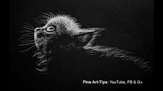 How to Draw a Cat - White on Black - Narrated screenshot 3