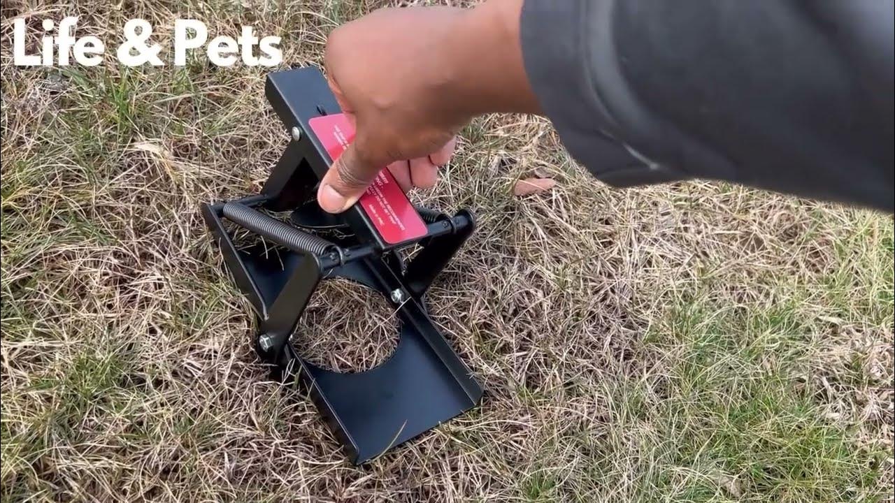 Garsum Mole Trap, EasySet Eliminator Black Scissor Traps Review, Get