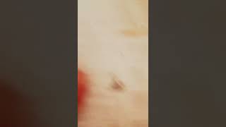 Ben Bunun Için Mi Uğraştim Lan