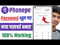 Phonepe ka password bhul jane par kya kare | Phonepe ka password bhul gaye kaise pata kare