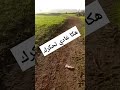 ملي كتحس بلي هي حسن منك 