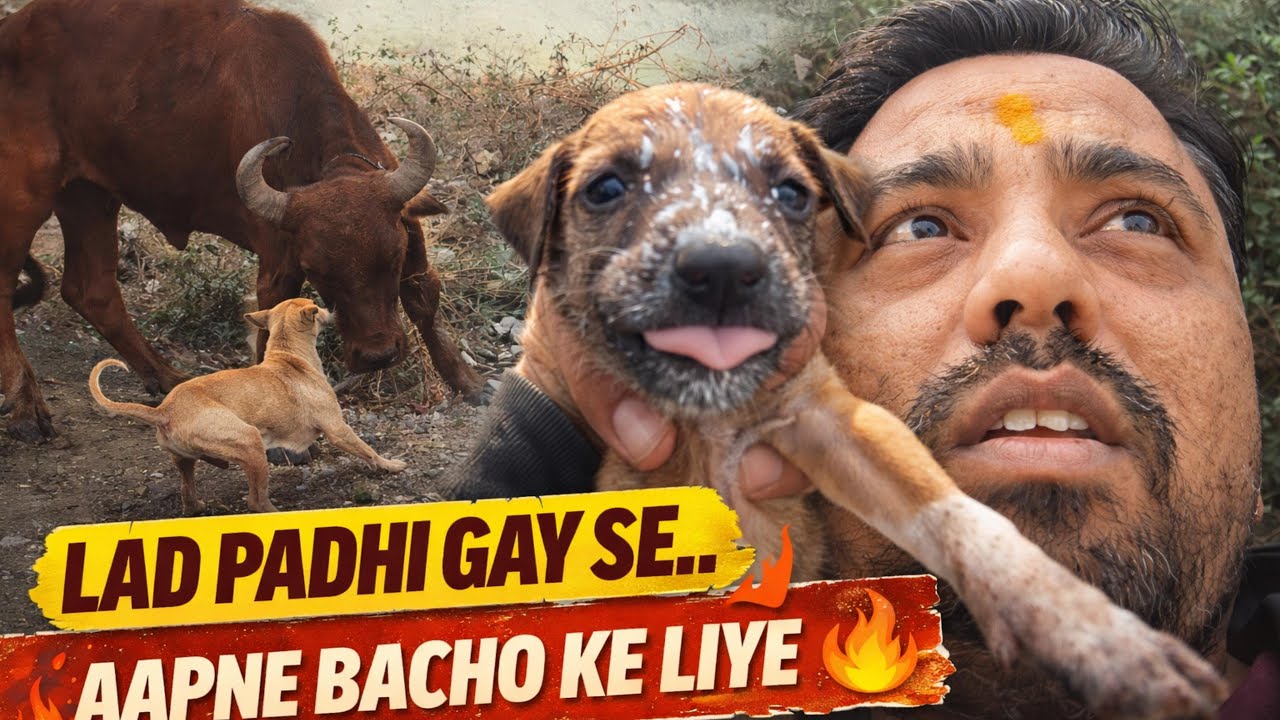 Gay Ke Samne Khadi Ho Gayi Maa 🥺🔥 Sirf Apne Bachchon Ke Liye