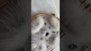 Embroidery 💙✨#beadwork #couture #craft #fur #beading #asmr #sewing