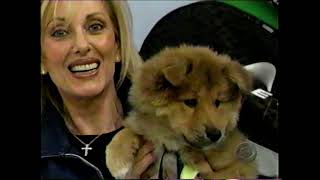 The Price is Right (#1363K):  February 16, 2000