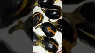 Making Of Bhray Baingan,Brinjal