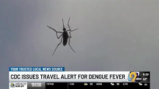 CDC warns travelers of dengue fever outbreaks in over a dozen countries