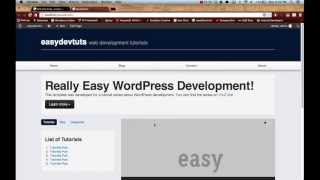 Wordpress Development Tutorials 20 - Custom Post Types