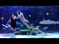 Aqua Planet Mermaid show at 63 Building Seoul South Korea #aquarium #underwaterworld