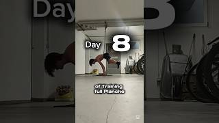 day 3- ok wk#motivation#calisthenics#sport#sports#viral#planche#strength#gym#workout#training#push