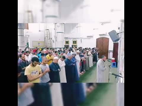 الشيخ محمد الليثى ترتيل من سورة الفتح ومحاكاة رائعة لامام الحرم المكي الشيخ بندر بليلة حفظه الله الشيخ محمد الليثى ترتيل من سورة الفتح ومحاكاة رائعة لامام الحرم المكي الشيخ بندر بليلة حفظه الله