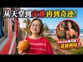 从天堂到灾难，再到奇迹！｜最美海岸列车 神秘红树林 天堂酒店｜斯里兰卡独旅EP2 BENTOTA