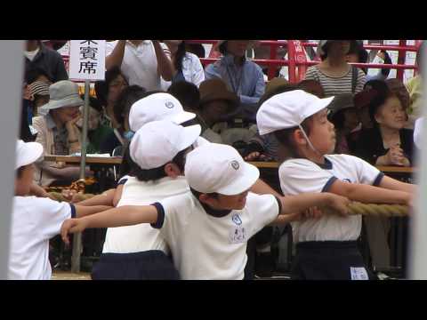 みさ20150523(小4)体育祭　つな引き