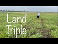 Retriever training alone retired land triple