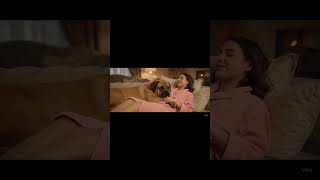 Happy Moments With My Dog