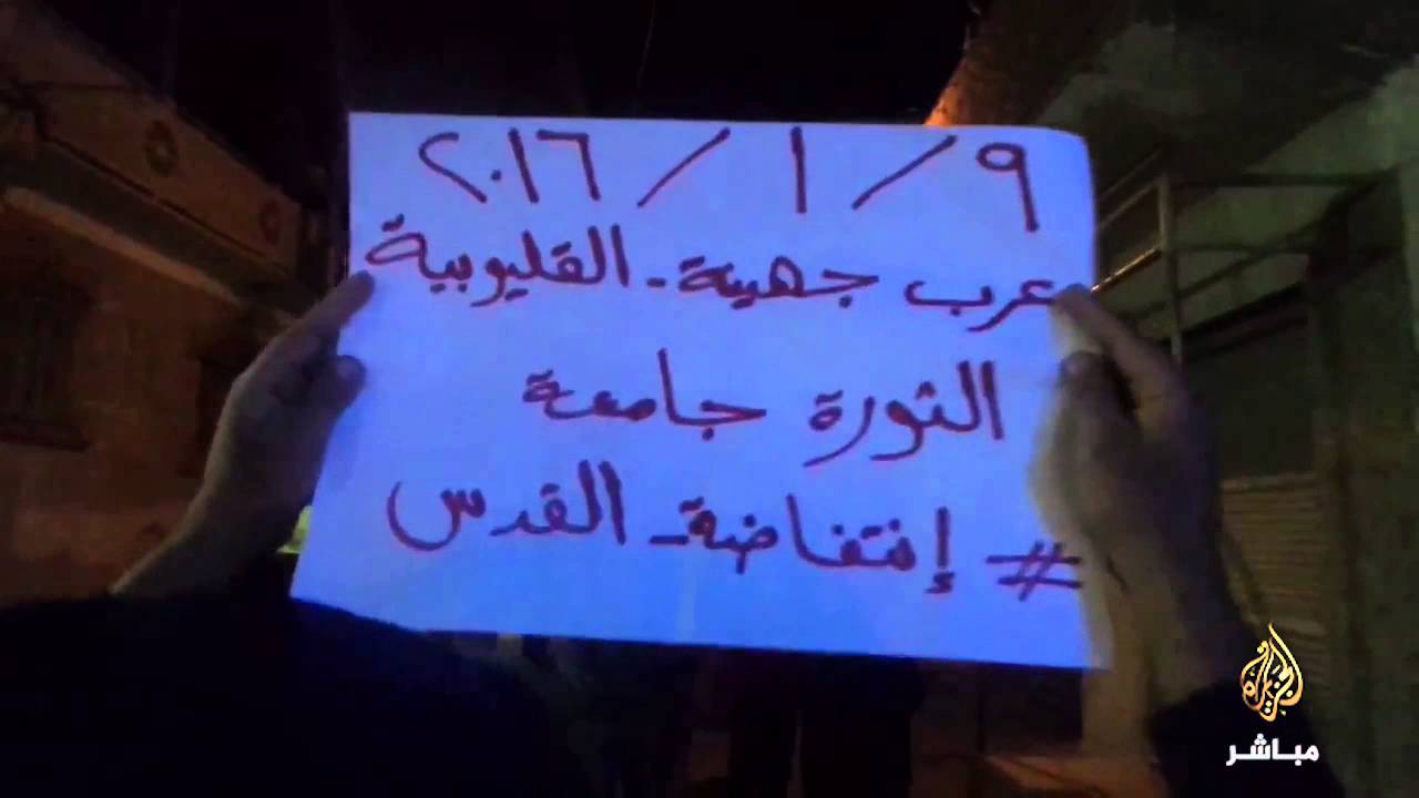 #شاهد .. مسيرة مناهضة للانقلاب العسكري بقرية عرب جهينه مركز شبين القناطر بالقليوبية 9-1-2016