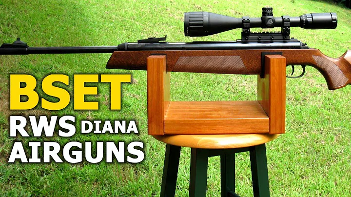 Top 5 Best RWS Air Rifles - Most Accurate Diana RW...