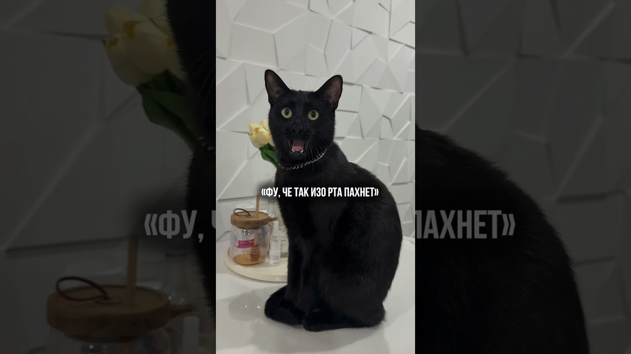 зубной гель с WB 