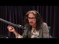 Joe Rogan Steven Tyler On Sobriety