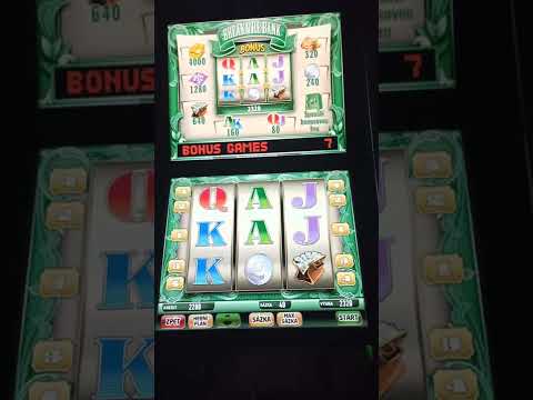 Hrajte online kasino v Bankonbetu s výhodným dobou výběru