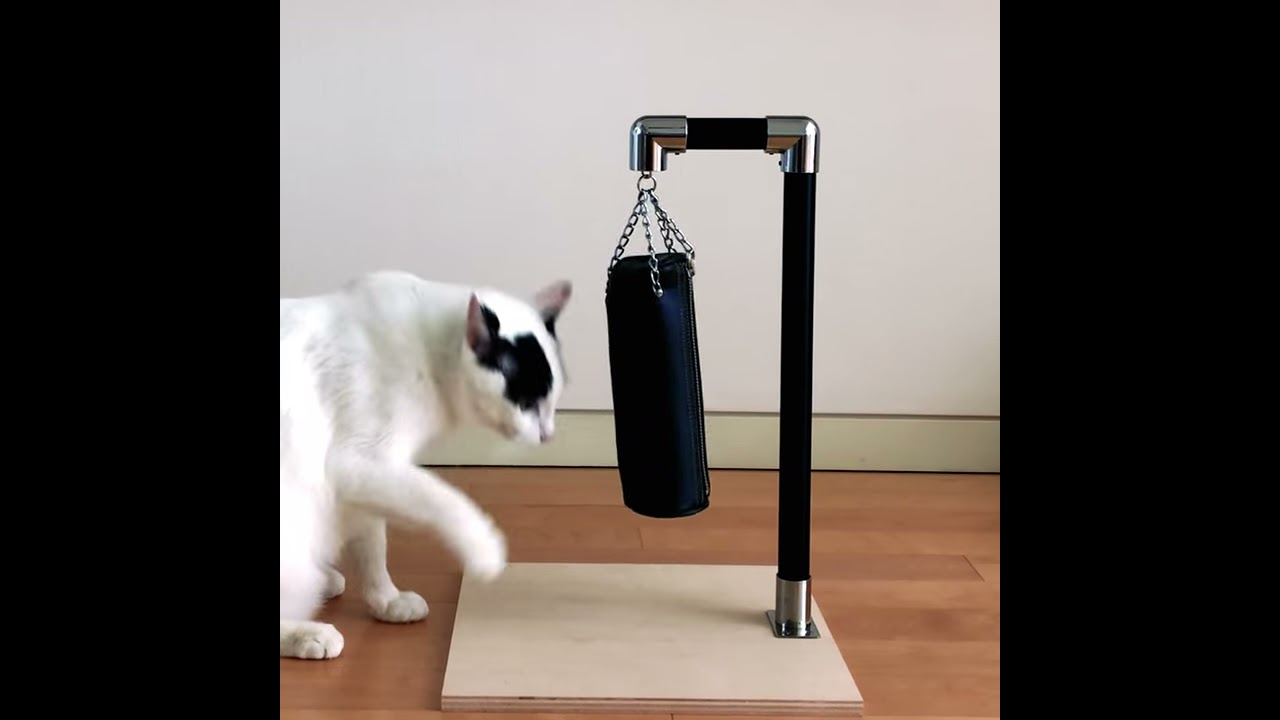 猫パンチ専用サンドバッグがかわいすぎる!!! - YouTube 猫パンチ専用サンドバッグがかわいすぎる!!! - YouTube